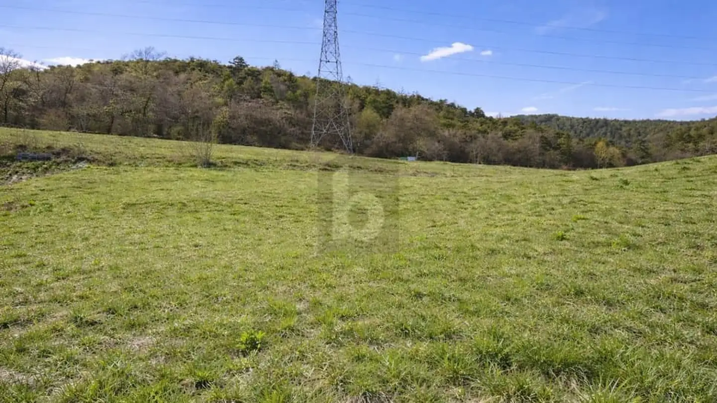 Constructible plot for sale - 1976 Erde - Photo 4