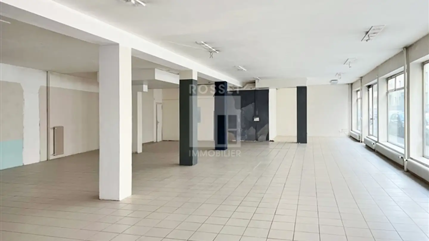 Appartement à louer - Rue Du-Roveray 16, 1207 Genève