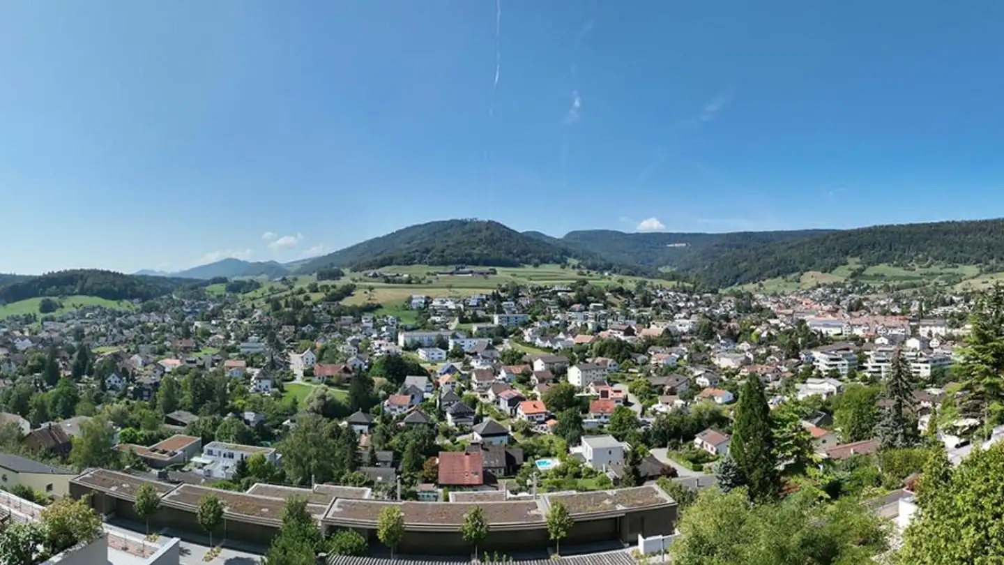 Wohnung kaufen - Buchhalde 40, 5018 Erlinsbach - Foto 3