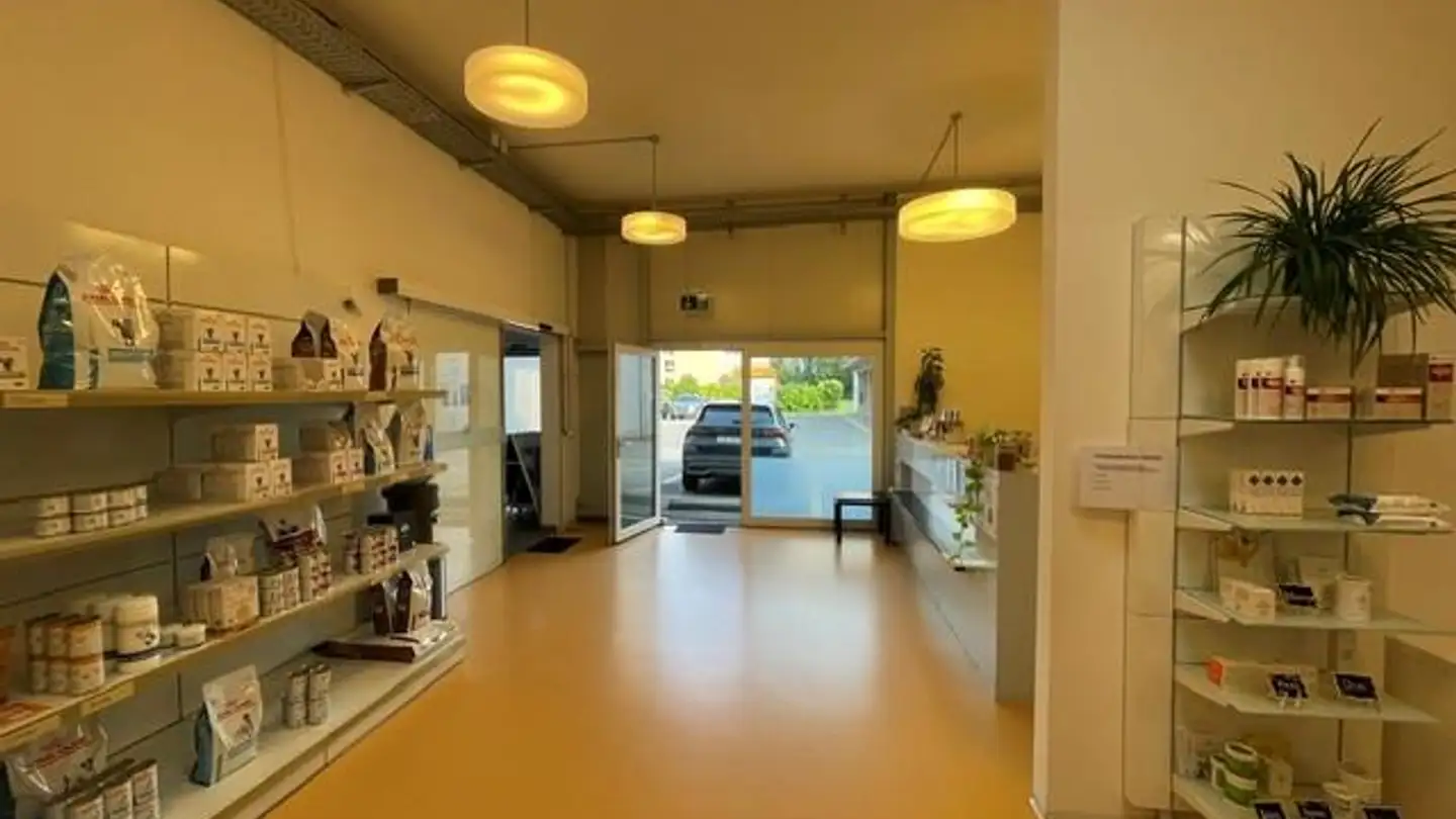 Studio medico in affitto - Werkhofstrasse 8, 7304 Maienfeld