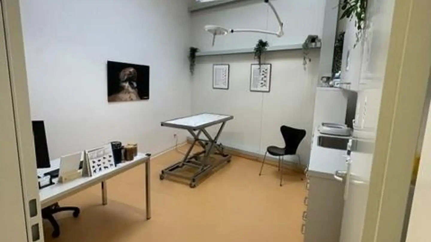 Studio medico in affitto - Werkhofstrasse 8, 7304 Maienfeld - Foto 3
