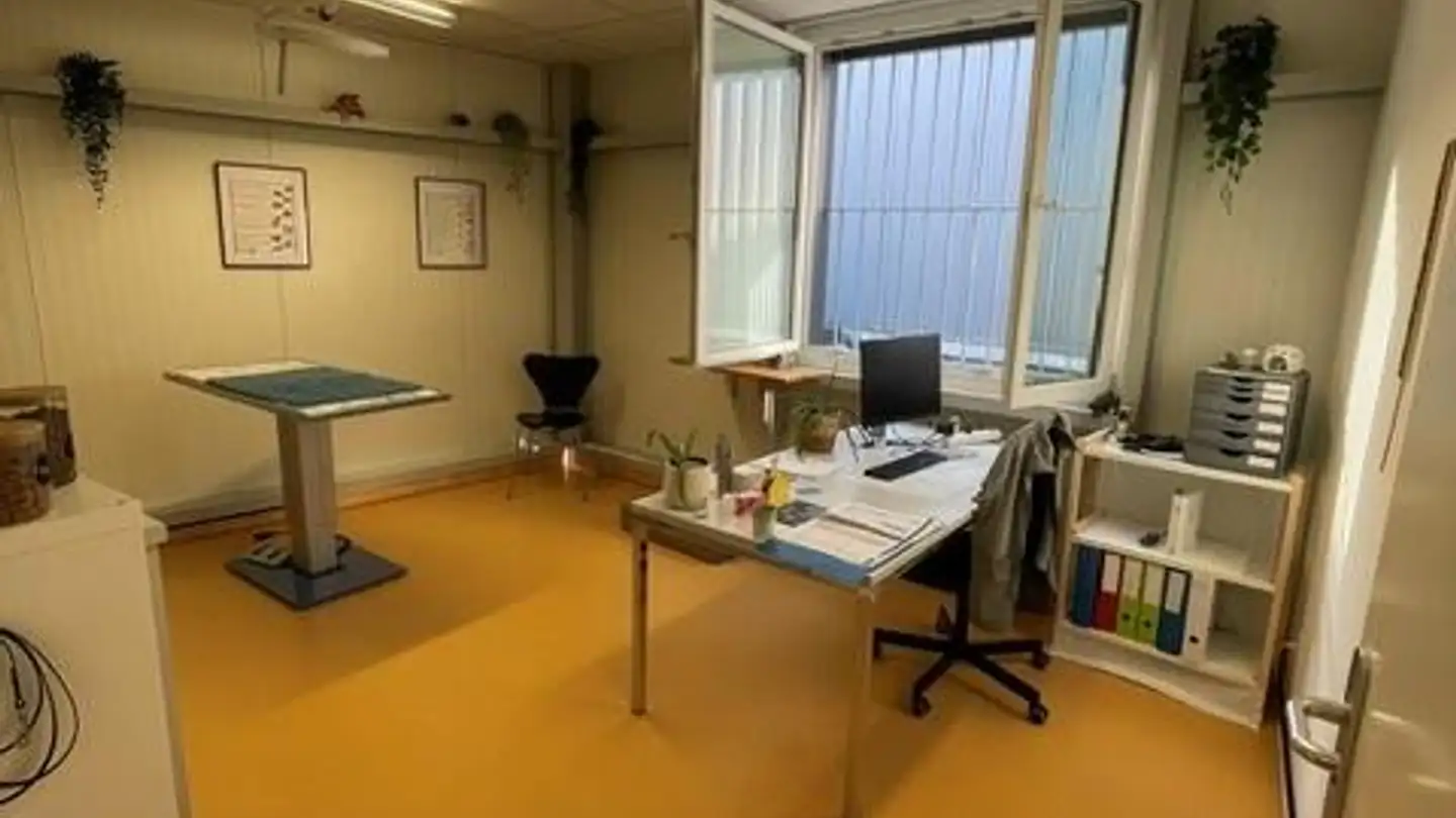 Studio medico in affitto - Werkhofstrasse 8, 7304 Maienfeld - Foto 4