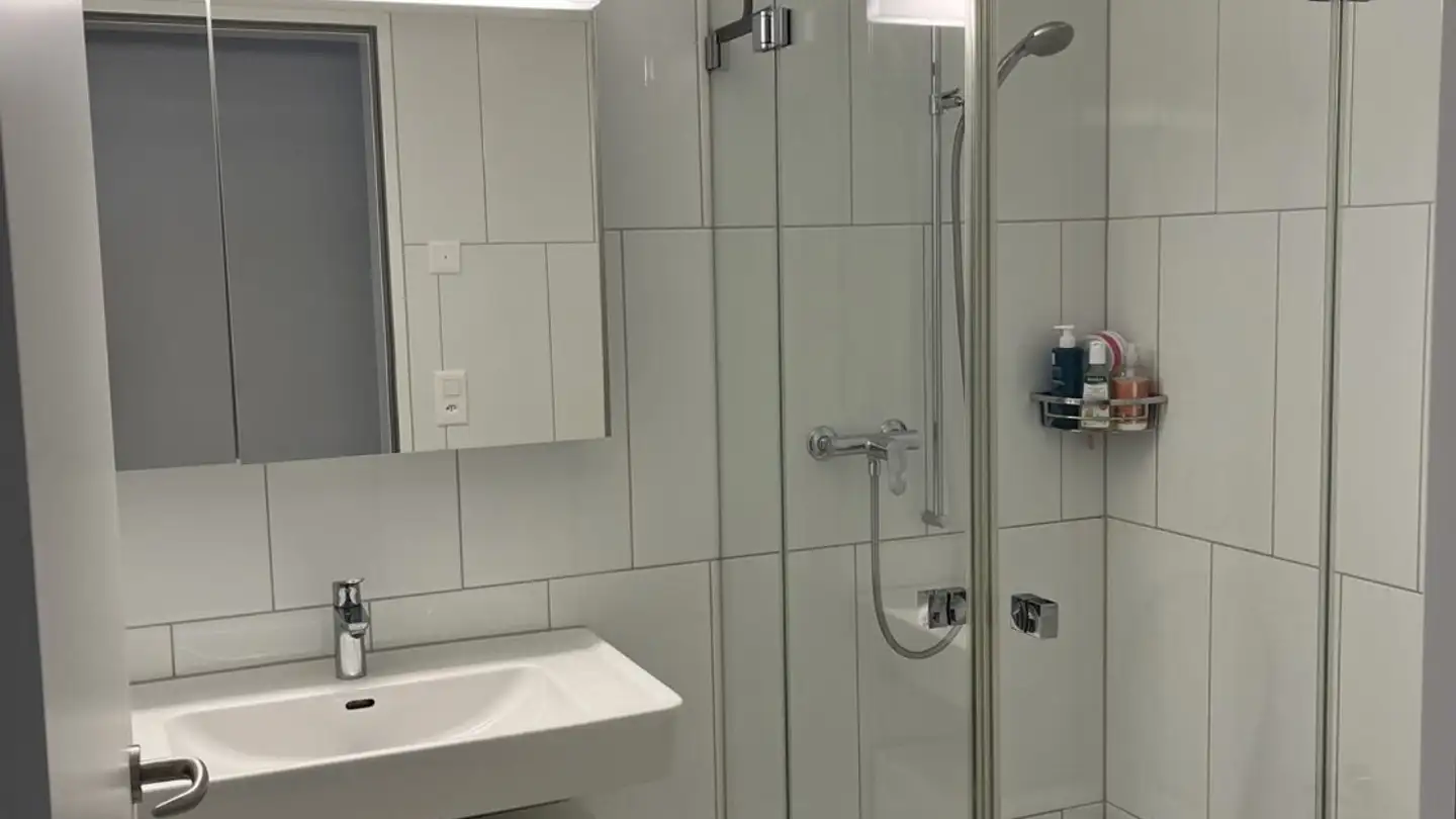 Appartamento in affitto - 8005 Zürich - Foto 3