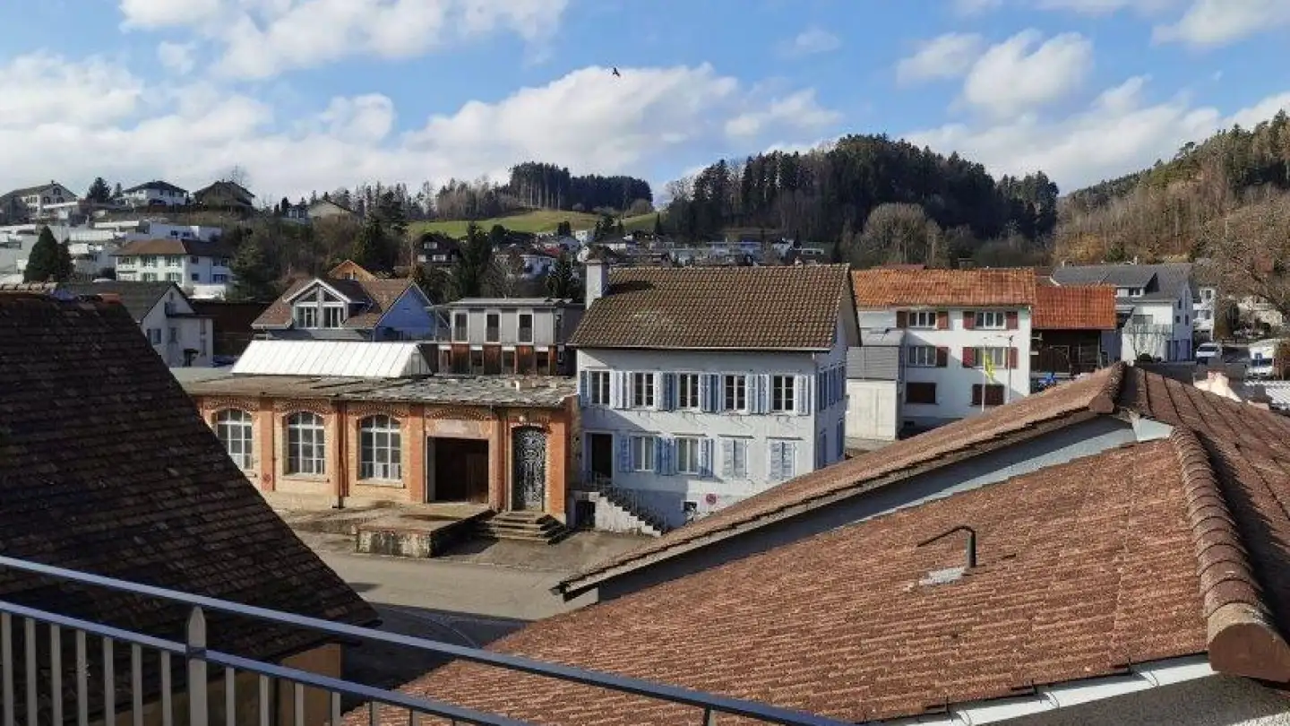 Appartamento in affitto - Riesenbergstrasse, 8362 Balterswil