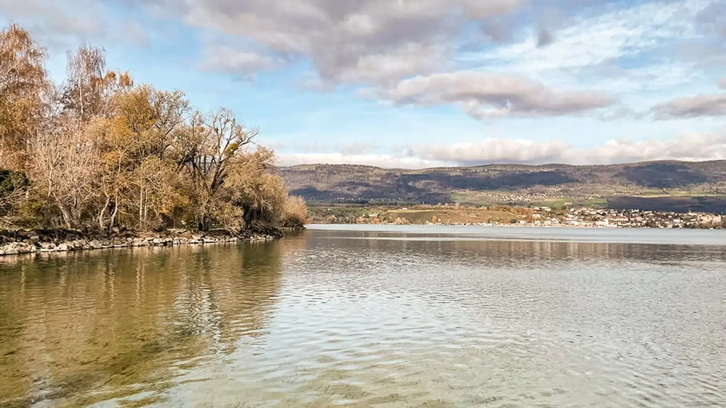 Appartamento in vendita - 1400 Yverdon-les-Bains - Foto 3