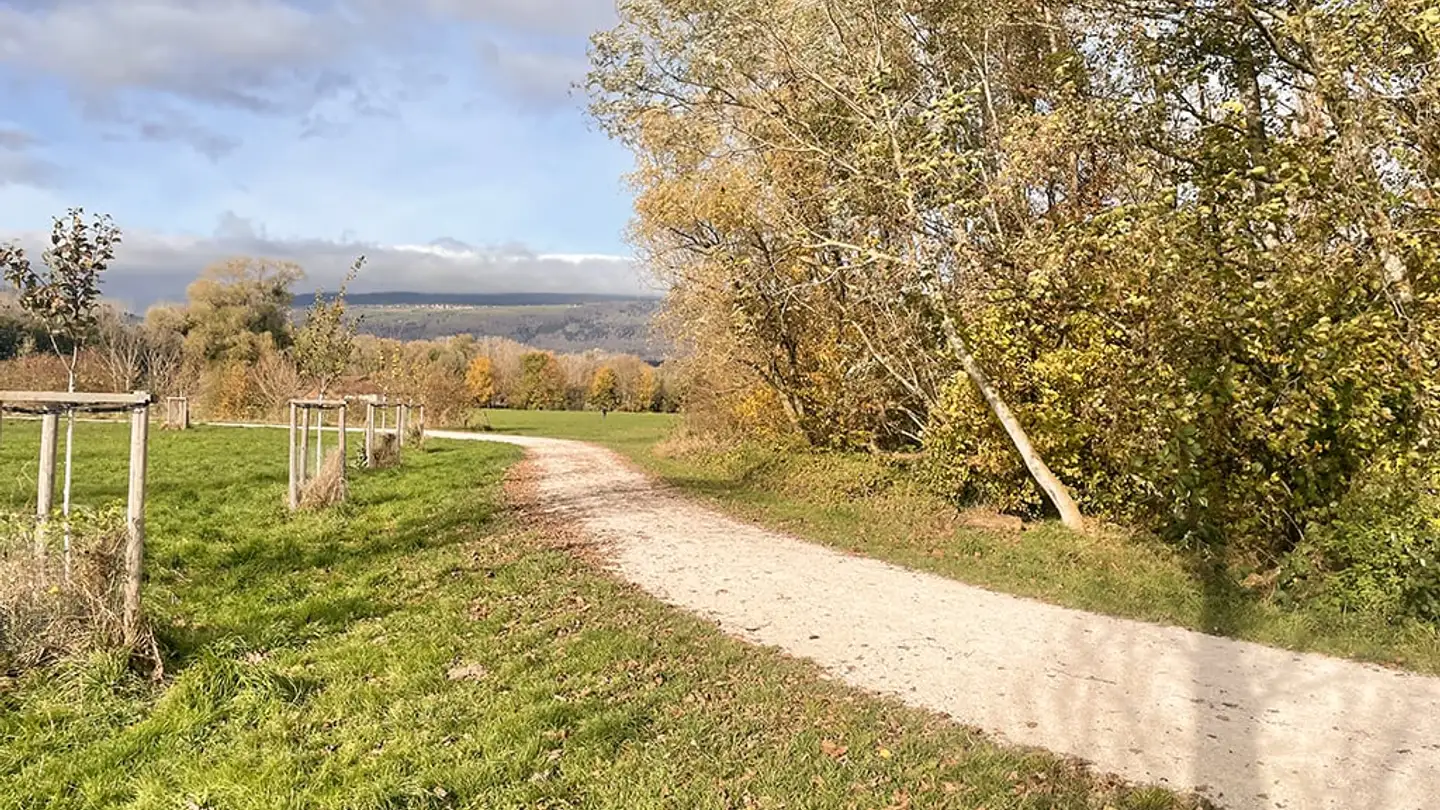 Appartement à vendre - 1400 Yverdon-les-Bains