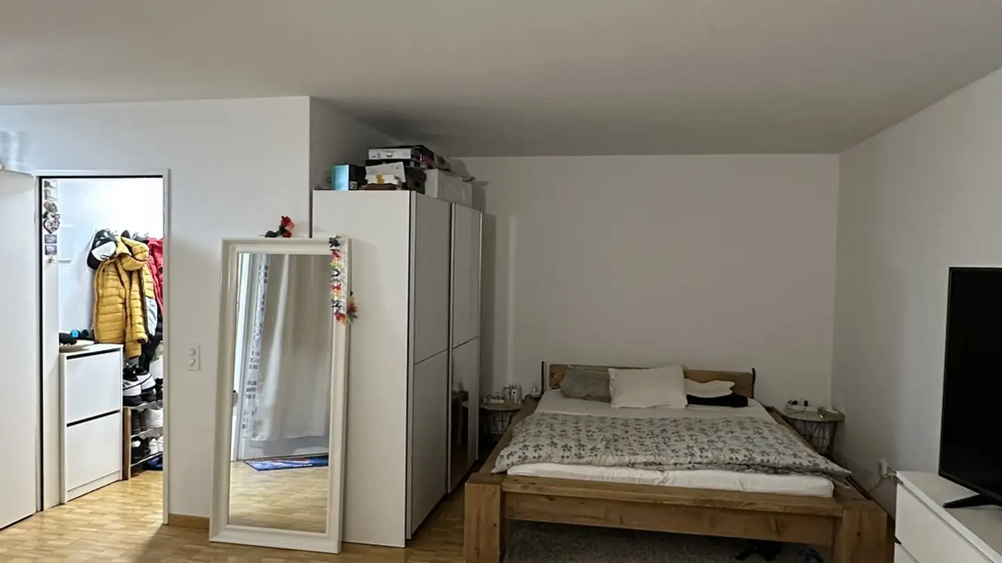 Appartamento in affitto - Wannerstrasse 45, 8045 Zürich - Foto 3