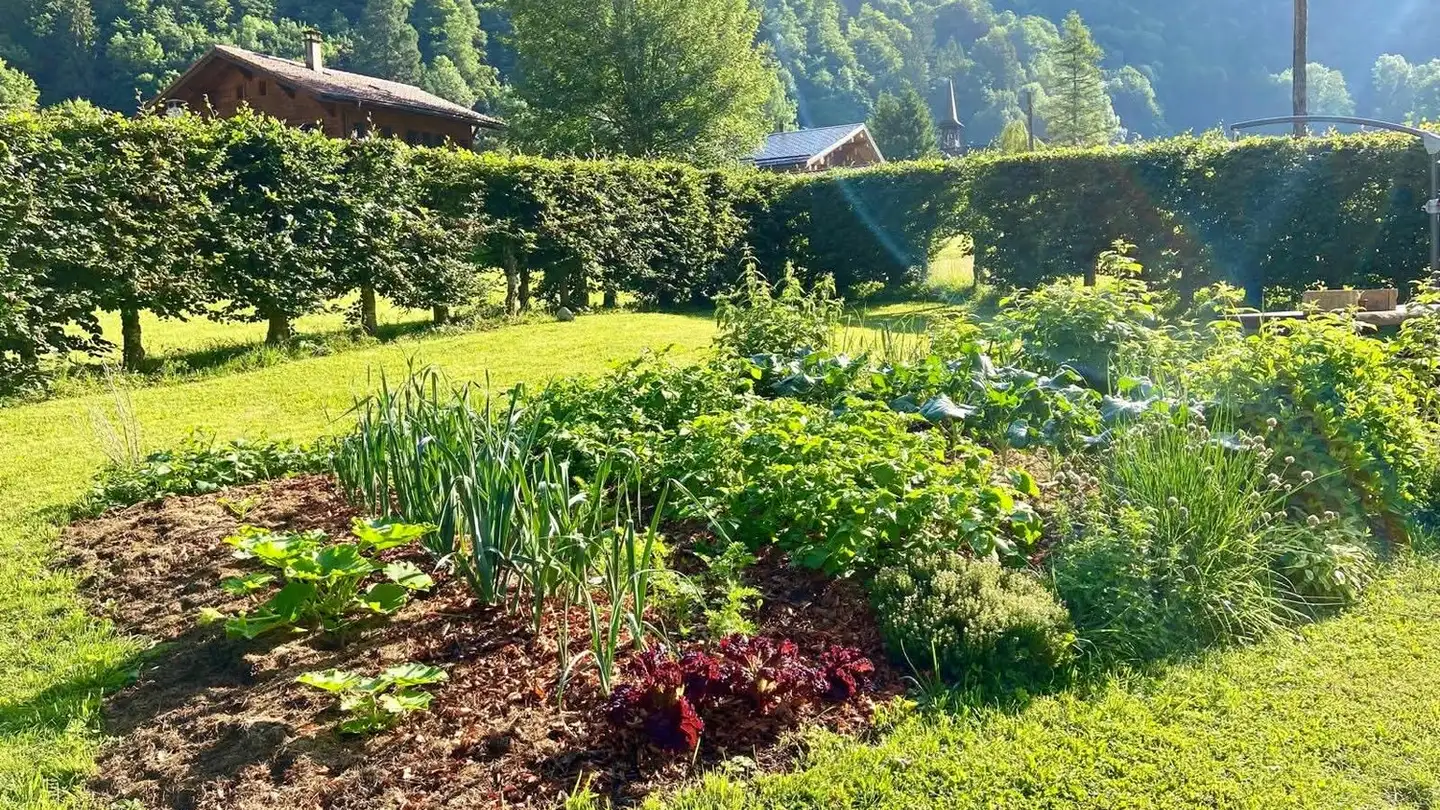 Chalet à louer - Route Du Muveran 8, 1880 Les Plans-sur-Bex - Photo 4