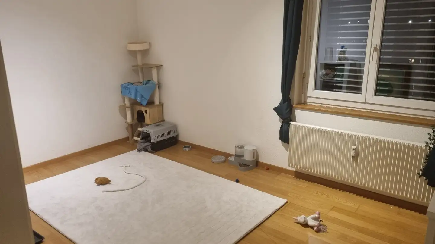 Apartment for rent - 3427 Utzenstorf - Photo 3