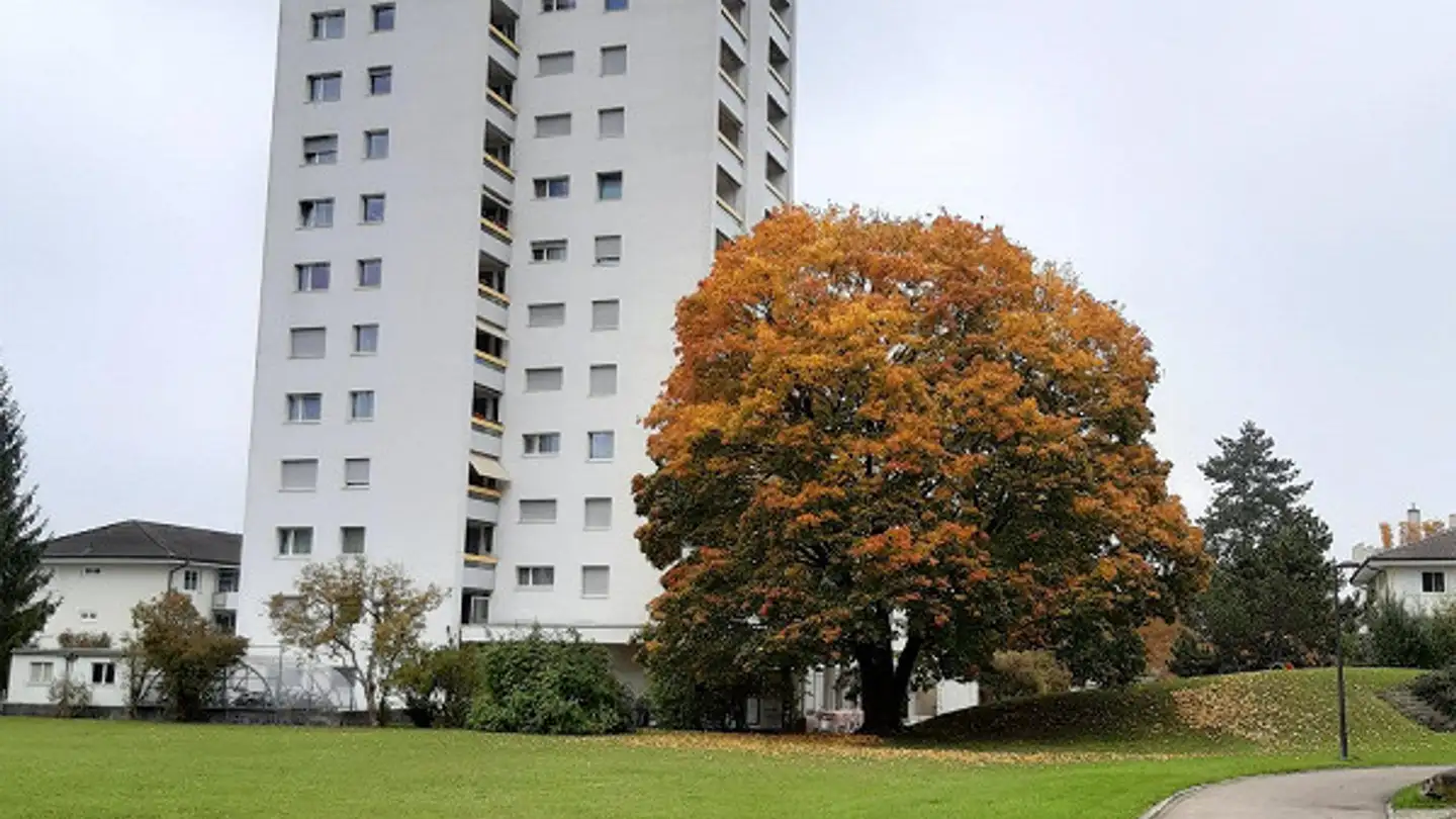 Wohnung mieten - Wespiwiese 12, 9244 Niederuzwil