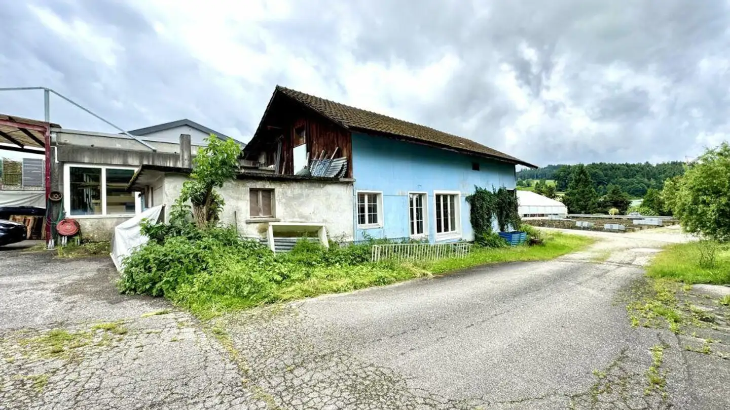 Commercial à vendre - 6147 Altbüron - Photo 2