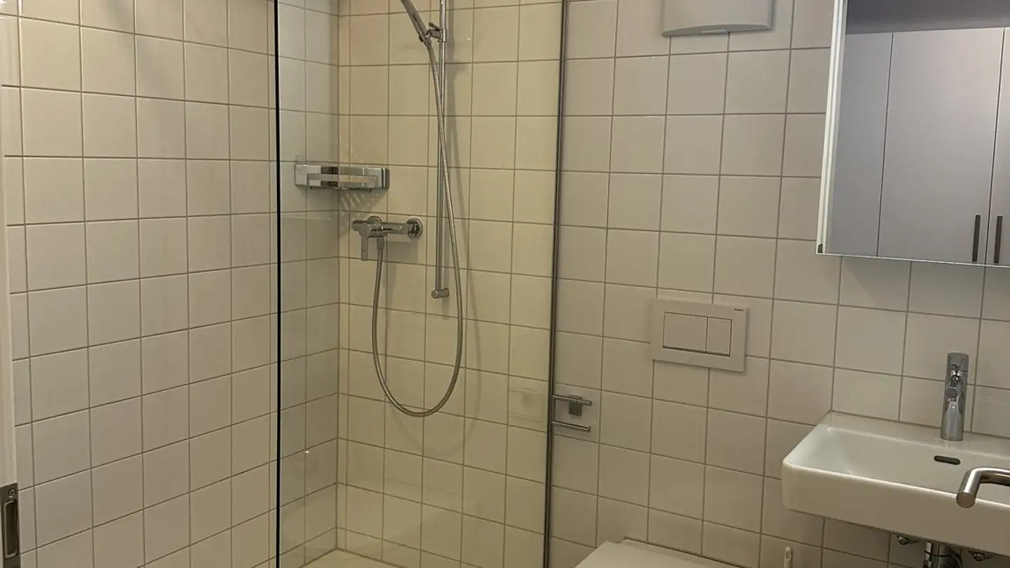 Apartment for rent - 5210 Windisch - Photo 3