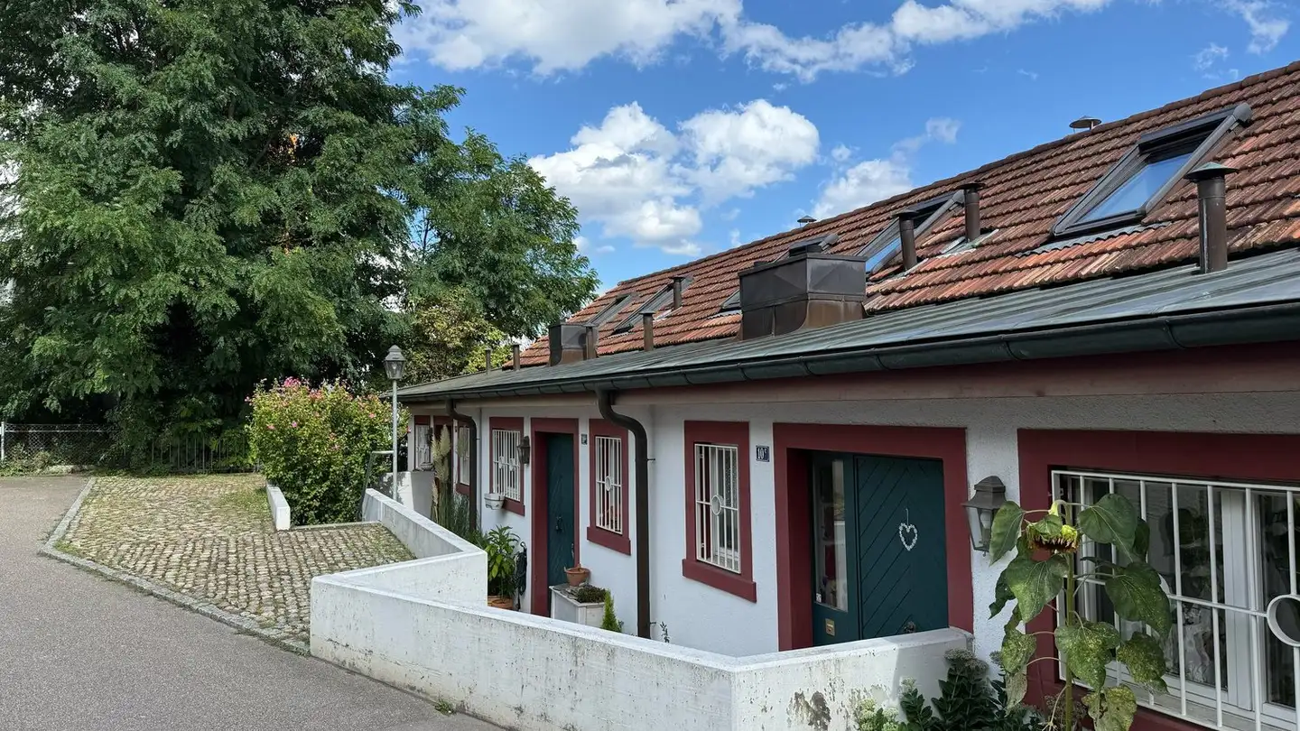 Duplex for sale - 4102 Binningen