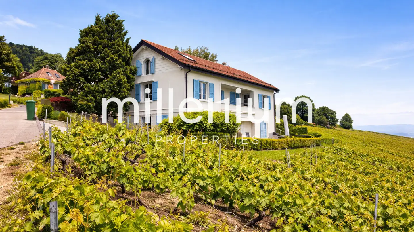 Apartment for rent - 1172 Bougy-Villars - Photo 2