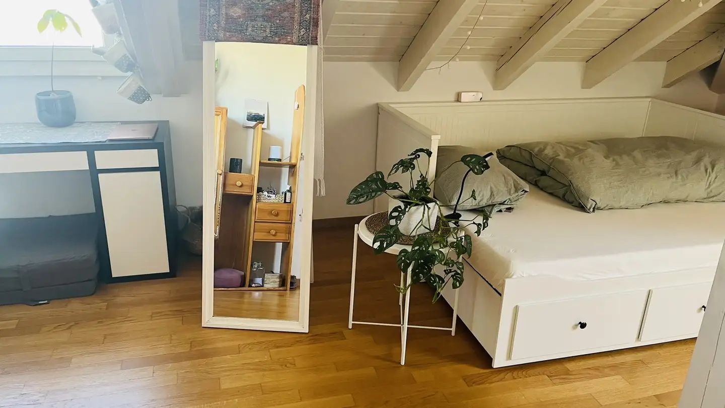 Chambre à louer - Luegislandstrasse 169, 8051 Zürich