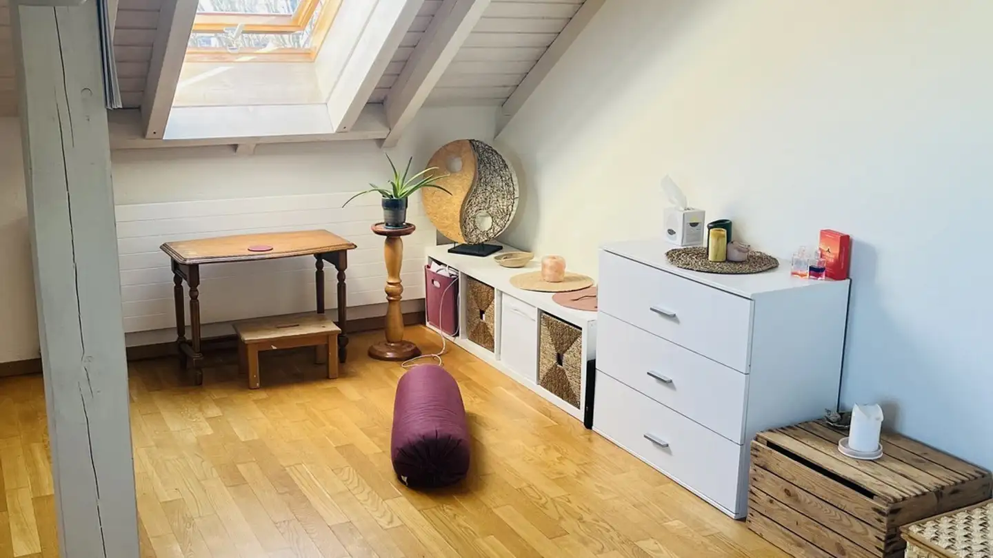 Chambre à louer - Luegislandstrasse 169, 8051 Zürich - Photo 2