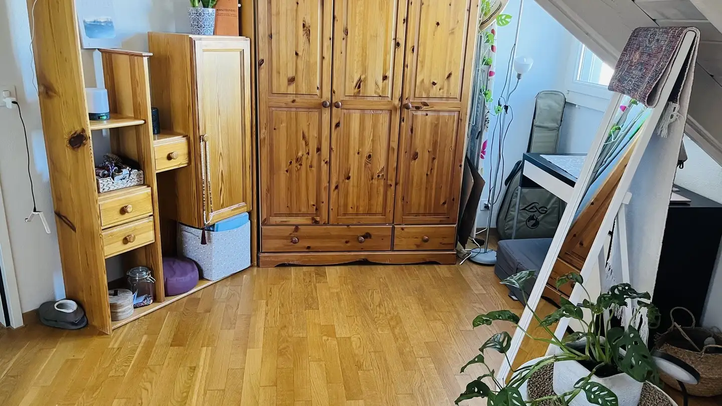 Chambre à louer - Luegislandstrasse 169, 8051 Zürich - Photo 4