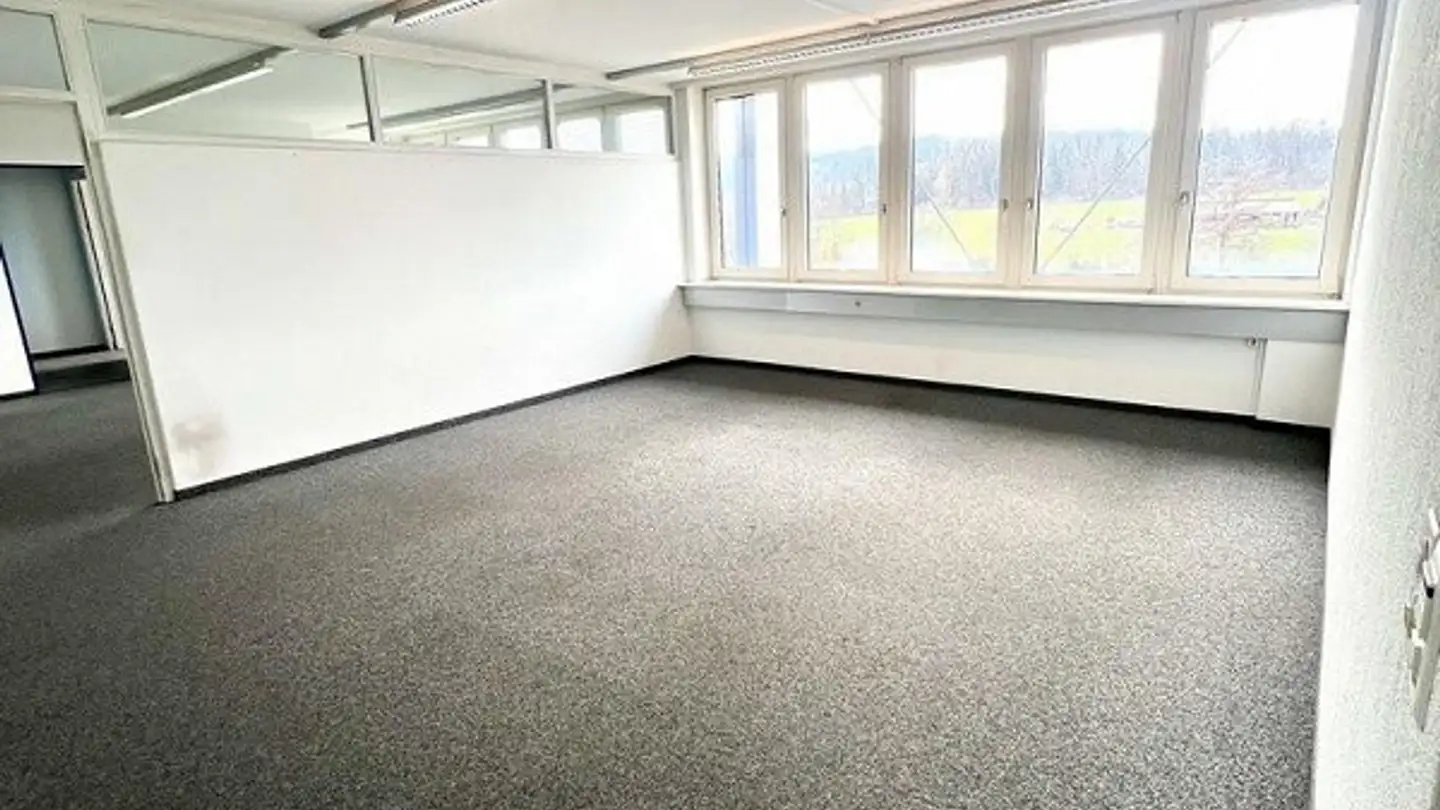 Commerciale in affitto - Wohlerstrasse 51, 5605 Dottikon - Photo 3