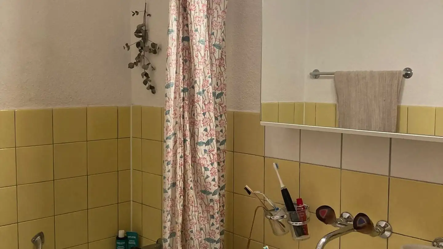 Apartment for rent - Grenzweg, 4144 Arlesheim - Photo 3