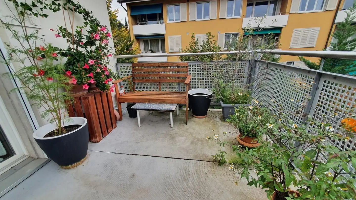 Single room for rent - 6300 Zug - Photo 3