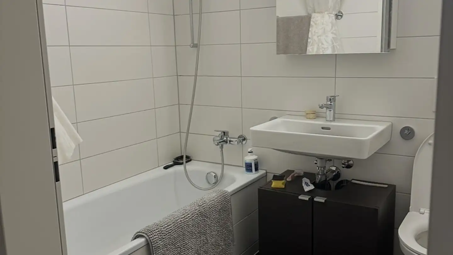 Wohnung mieten - Pflugstrasse 20, 8952 Schlieren - Foto 3