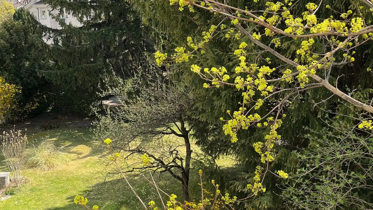 Wohnung mieten - Gäuggelistrasse, 7000 Chur - Foto 3