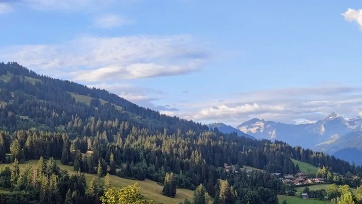 Chalet à vendre - Saanenmöserstrasse 87, 3777 Saanenmöser - Photo 3