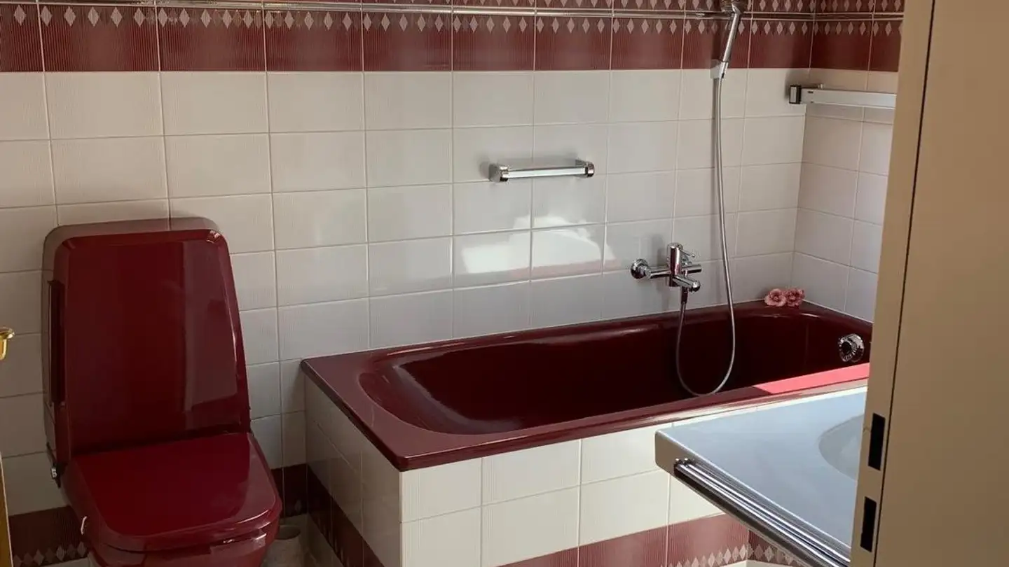 Appartamento in affitto - Breitenbachstrasse 21, 4227 Büsserach - Photo 3