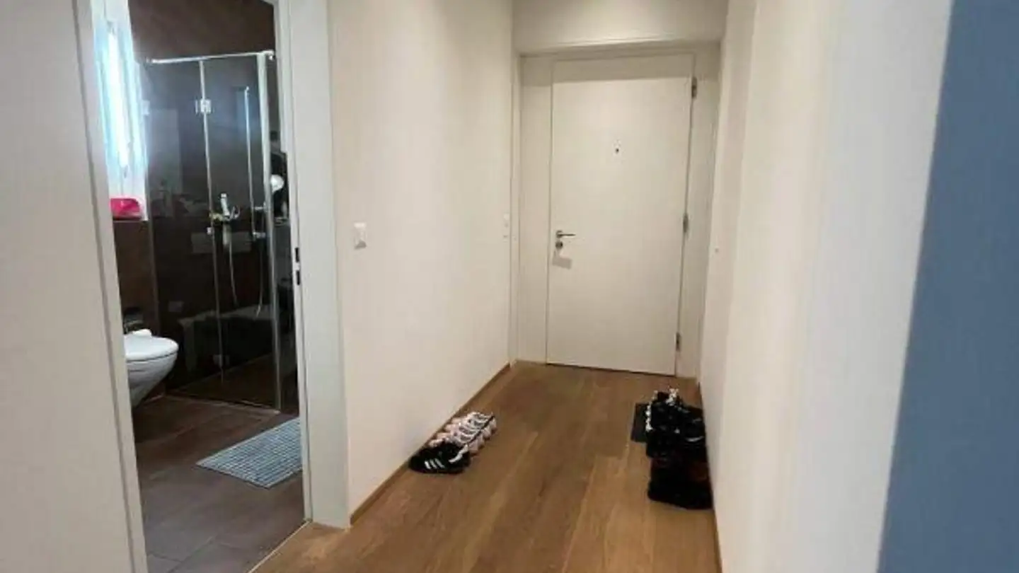 Appartamento in affitto - Bruggerstrasse 117, 5400 Baden - Foto 3