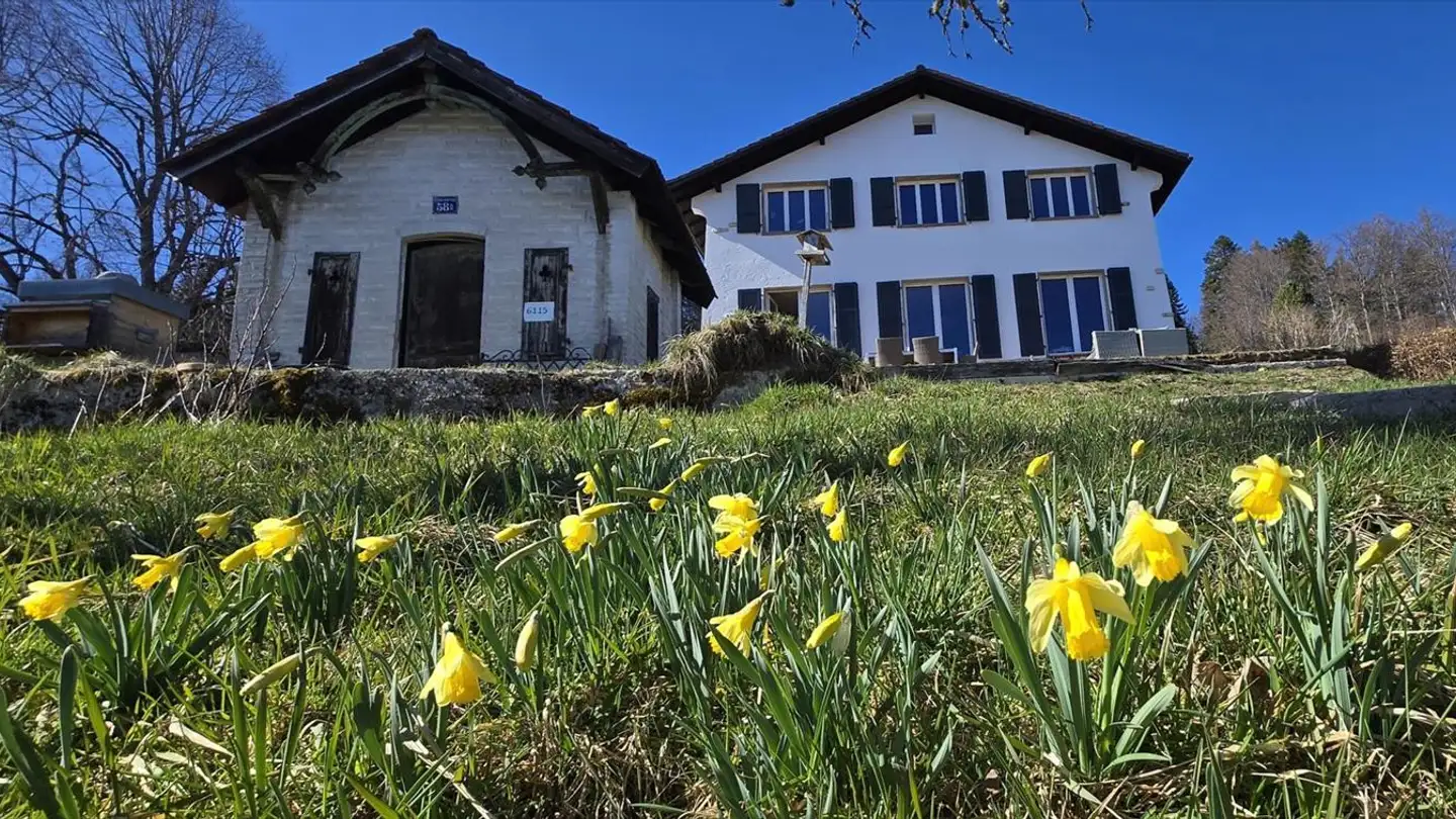 Einfamilienhaus kaufen - 2300 La Chaux-de-Fonds