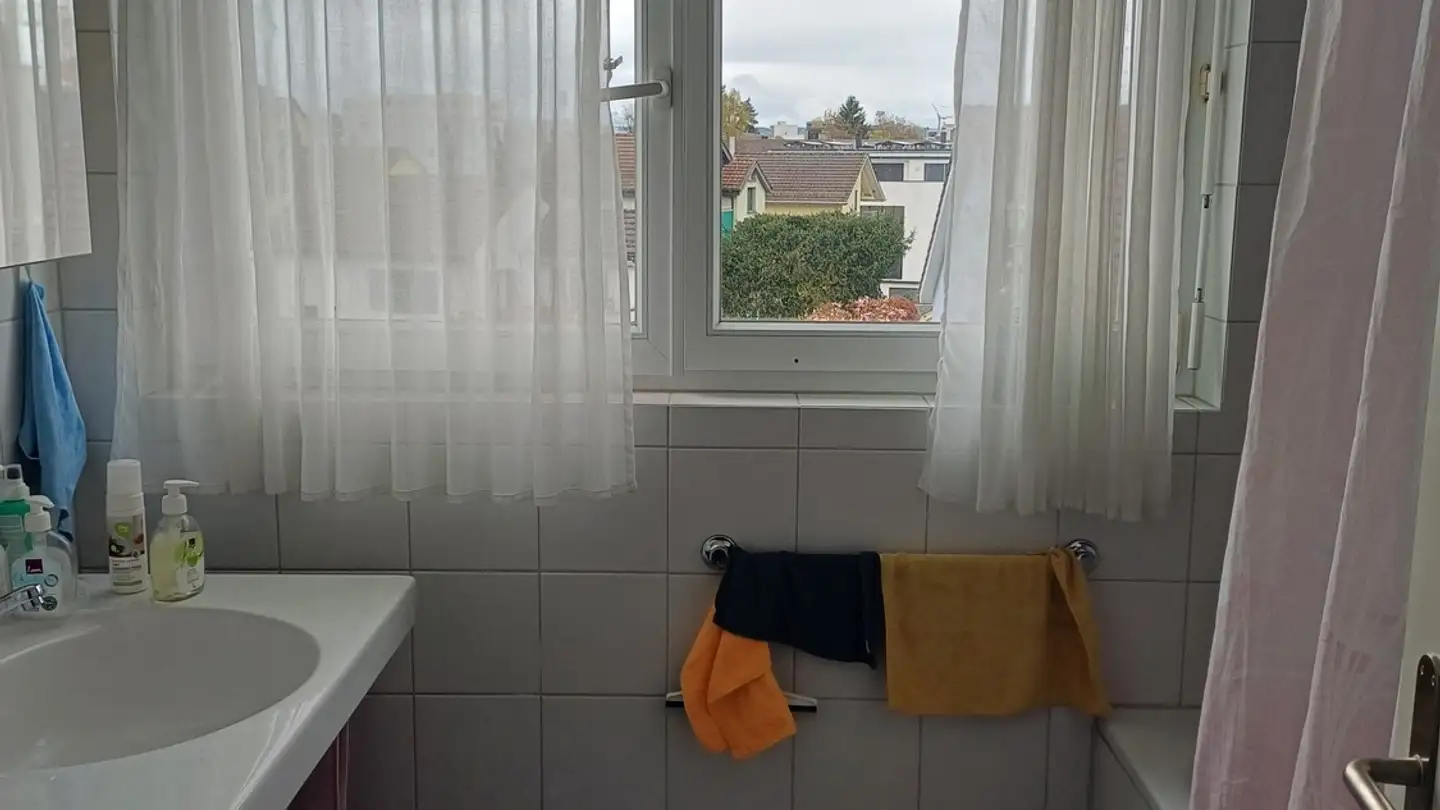 Chambre à louer - Schaffhauserstrasse 476a, 8052 Zürich - Photo 4