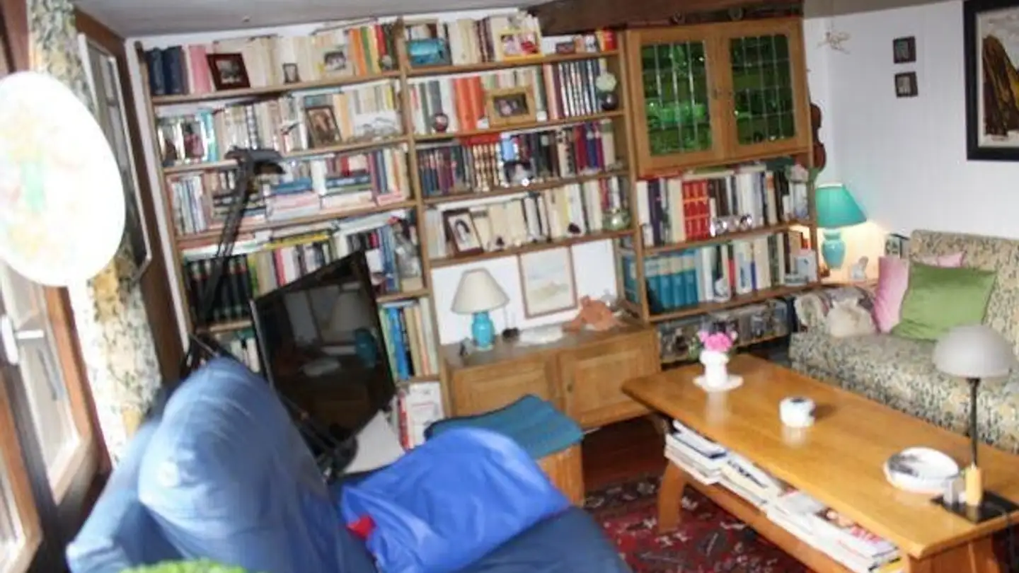 Maison troglodyte à vendre - 6747 Chironico - Photo 4