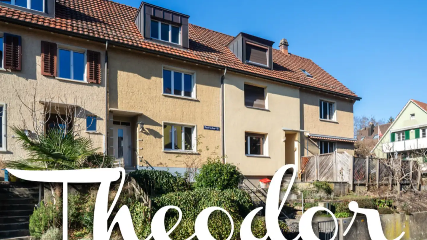 Maison individuelle à vendre - Theodor-Kirchner-Strasse, 8400 Winterthur