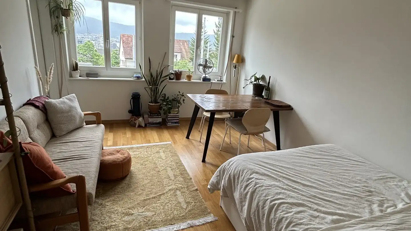 Wohnung mieten - 8049 Zürich