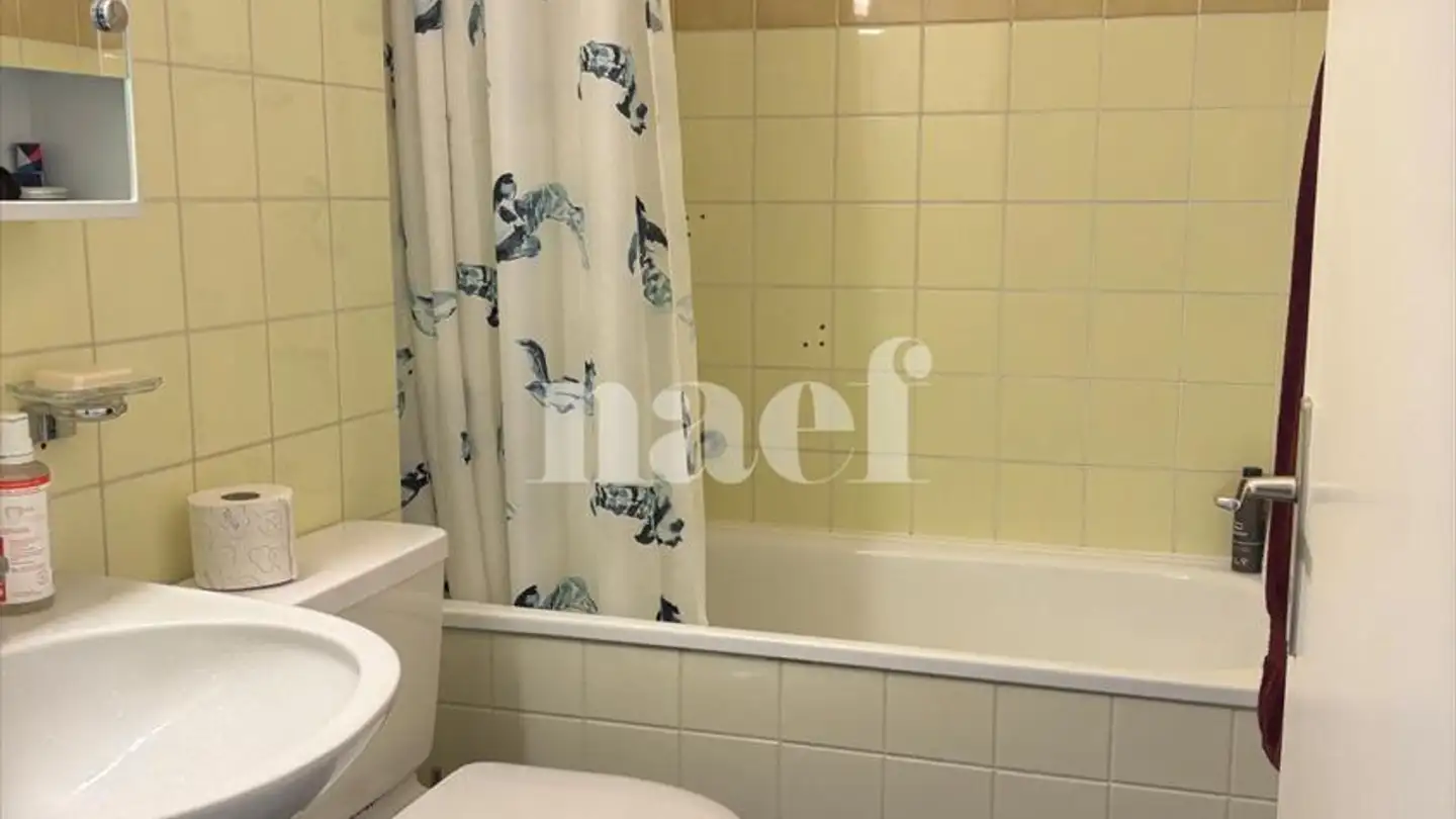 Appartamento in affitto - Rue De La Prulay 61, 1217 Meyrin - Photo 2