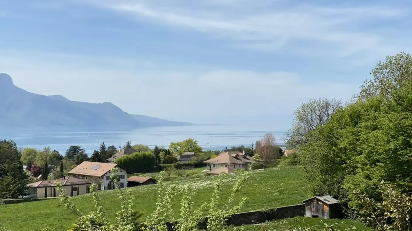 Maison individuelle à vendre - 1815 Clarens