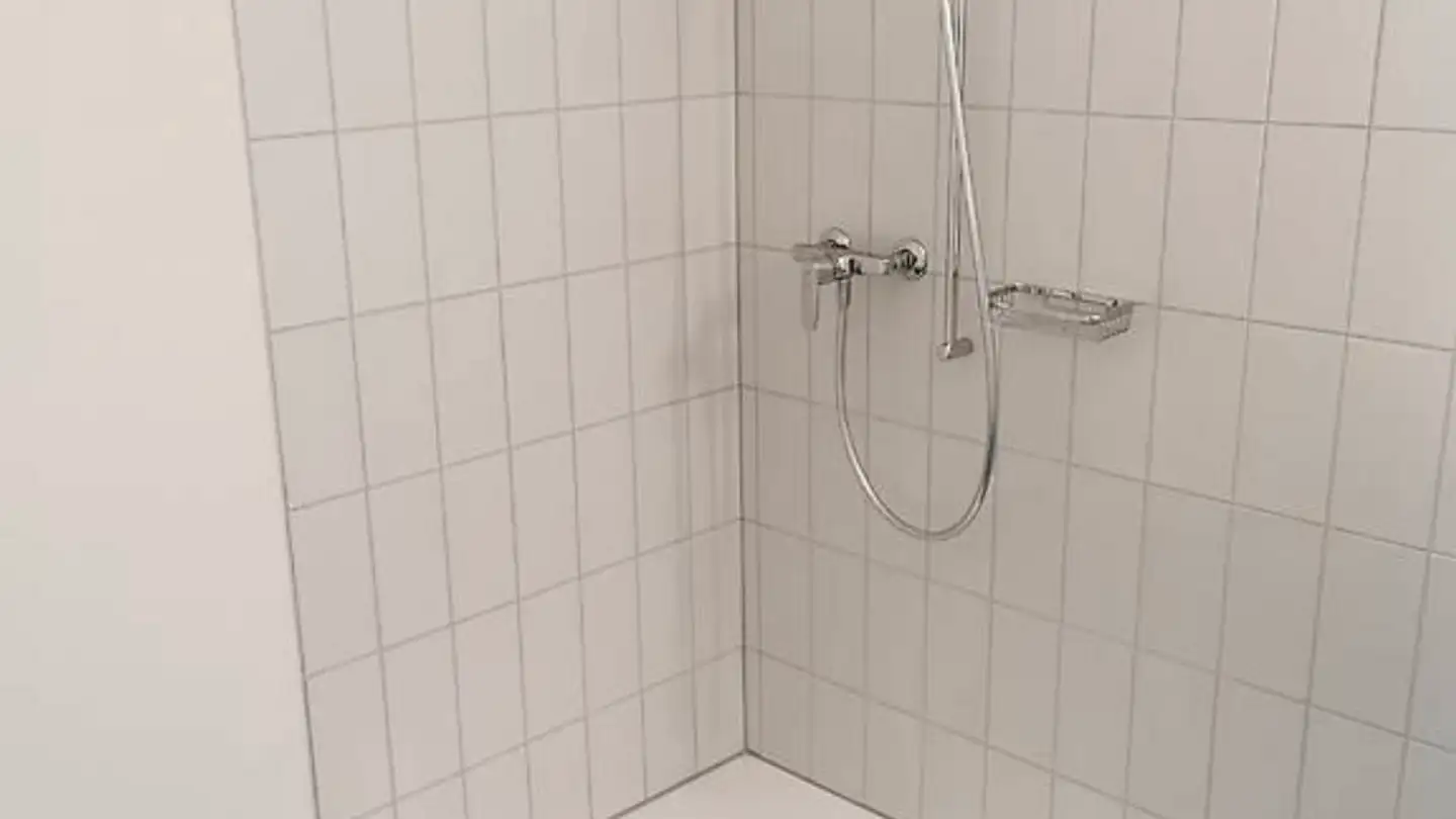 Commercial à louer - Brandstrasse 1, 8952 Schlieren - Photo 4
