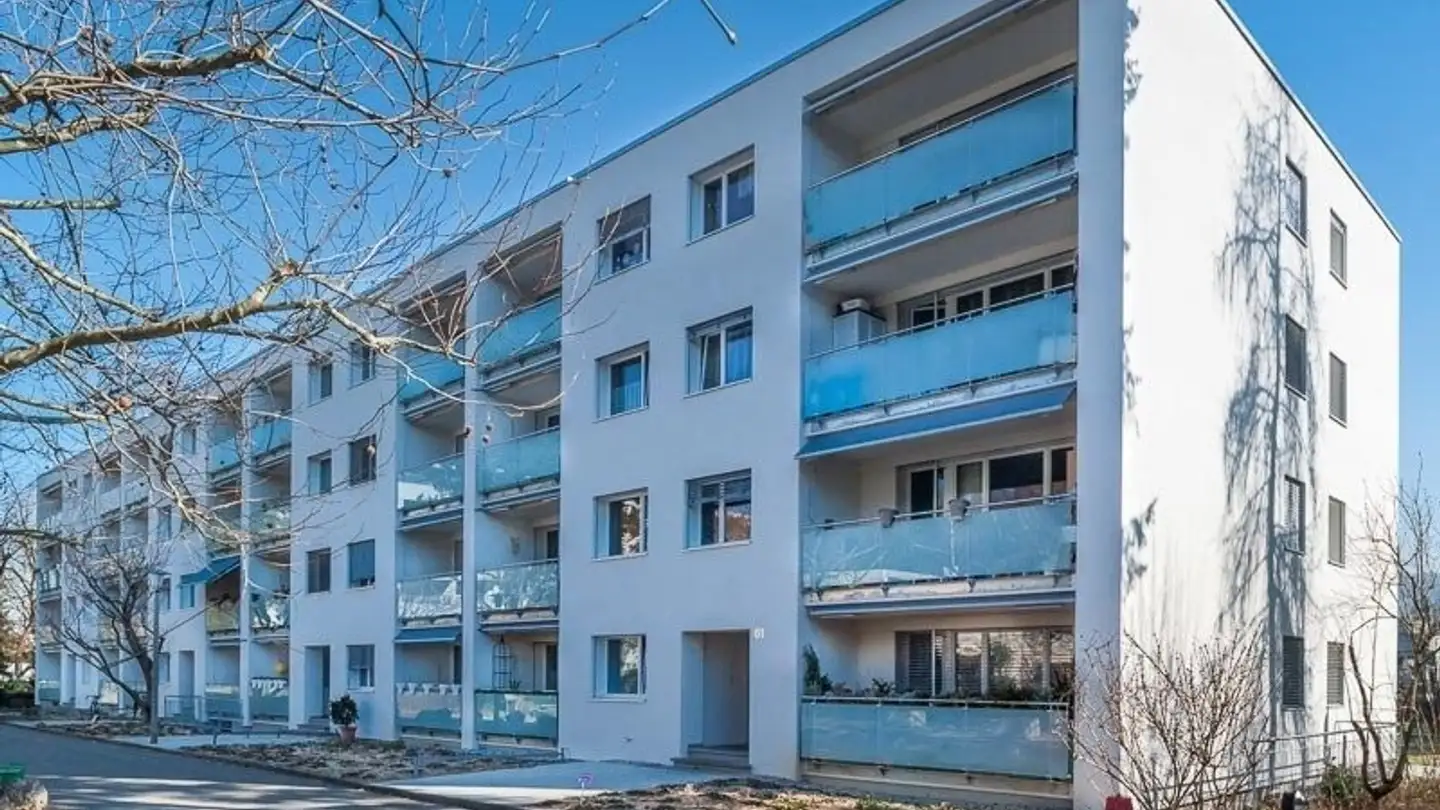 Appartement à louer - Mischelistrasse 59, 4153 Reinach BL