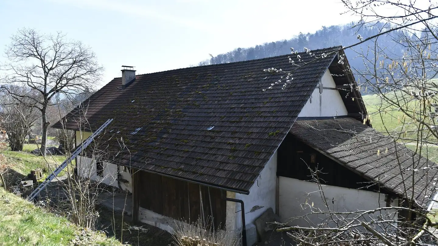 Single house for sale - Böhlerstrasse 54, 5726 Unterkulm - Photo 4