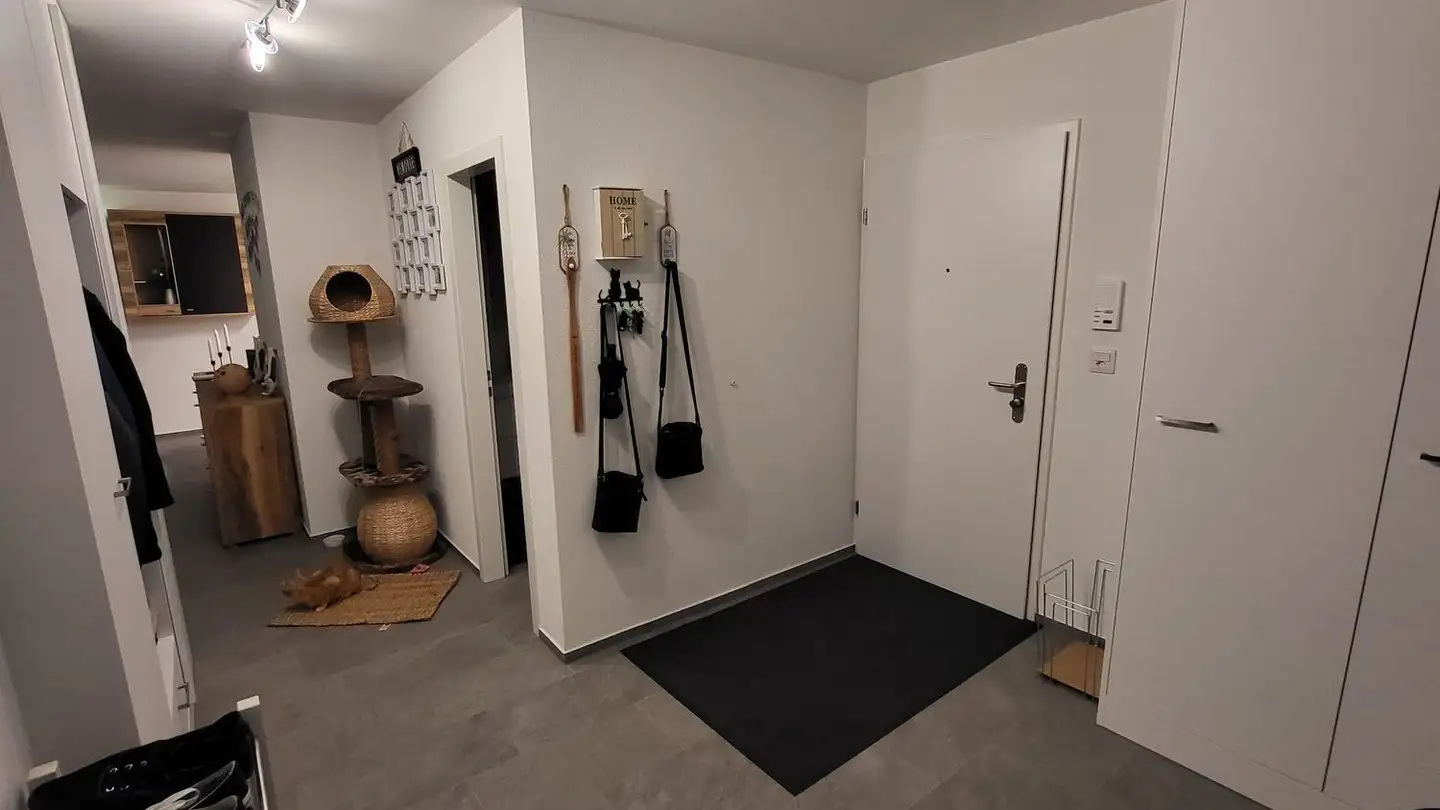 Attico in affitto - Nöschikonerstrasse, 8155 Niederhasli - Foto 2