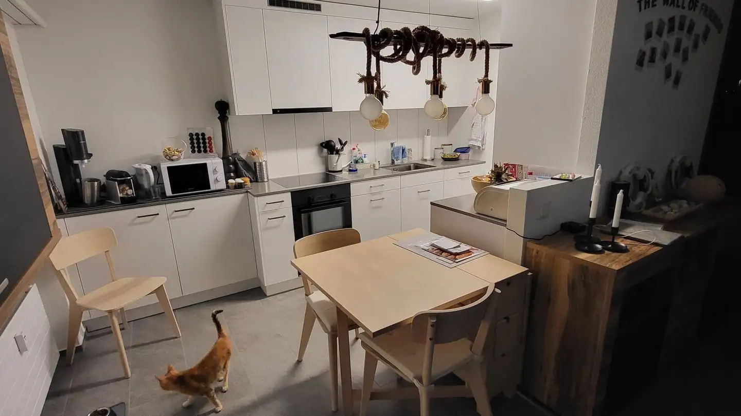 Attico in affitto - Nöschikonerstrasse, 8155 Niederhasli - Foto 3