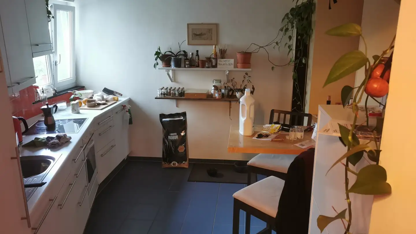 Single room for rent - Tösstalstrasse 83, 8400 Winterthur - Photo 2