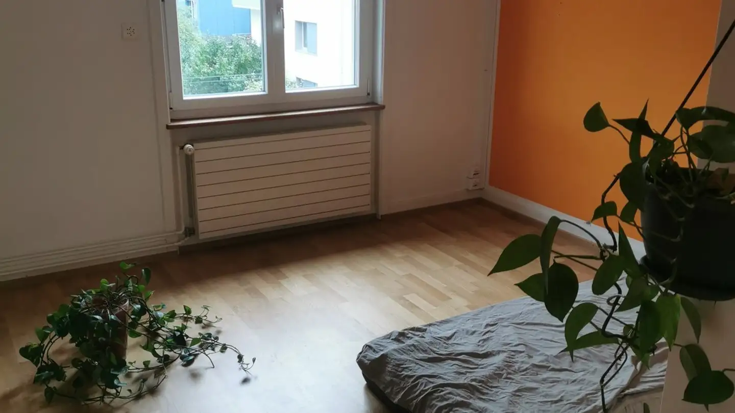 Single room for rent - Tösstalstrasse 83, 8400 Winterthur - Photo 4