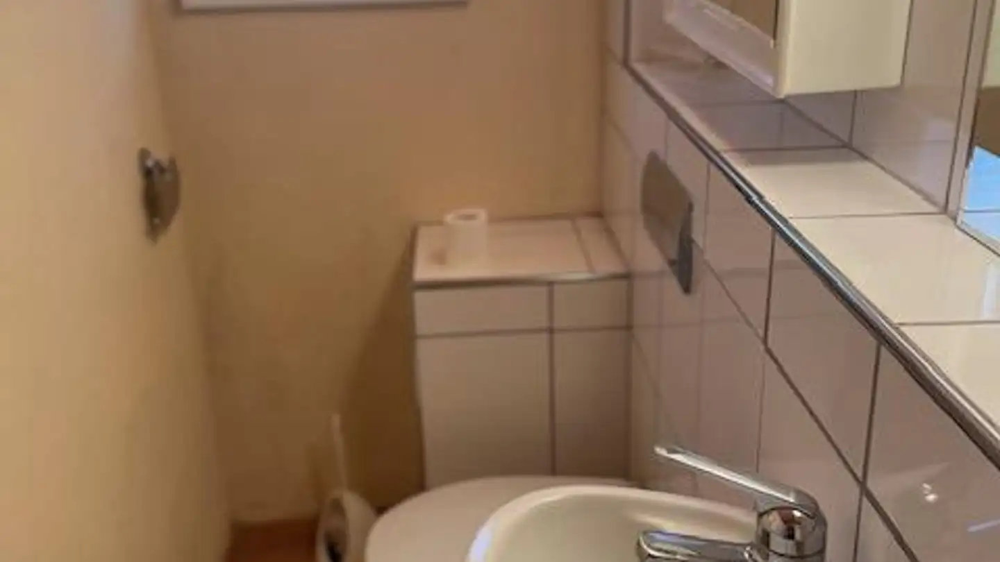 Gewerbe mieten - Breitenstrasse 1, 5242 Lupfig