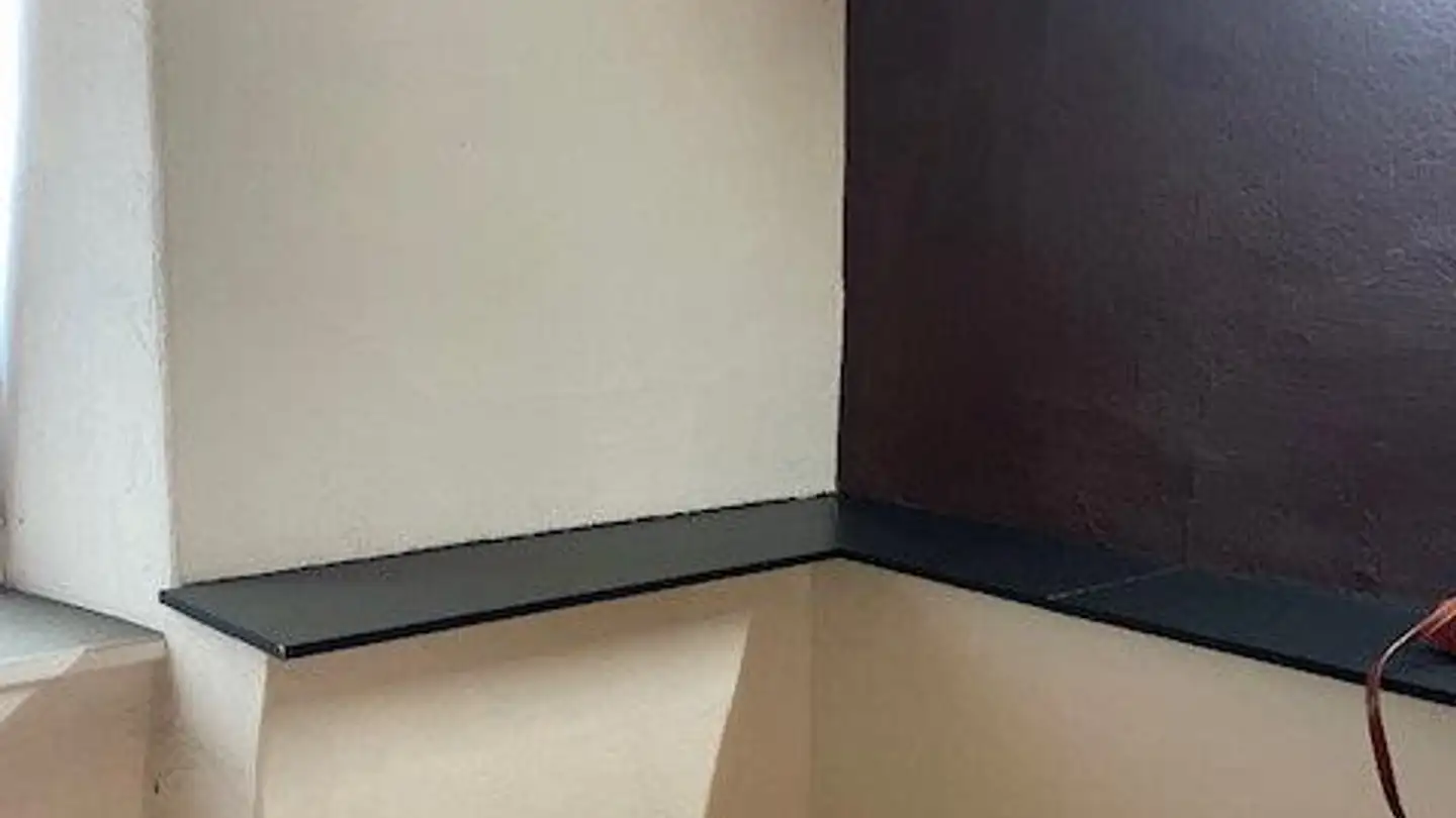 Gewerbe mieten - Breitenstrasse 1, 5242 Lupfig - Foto 4