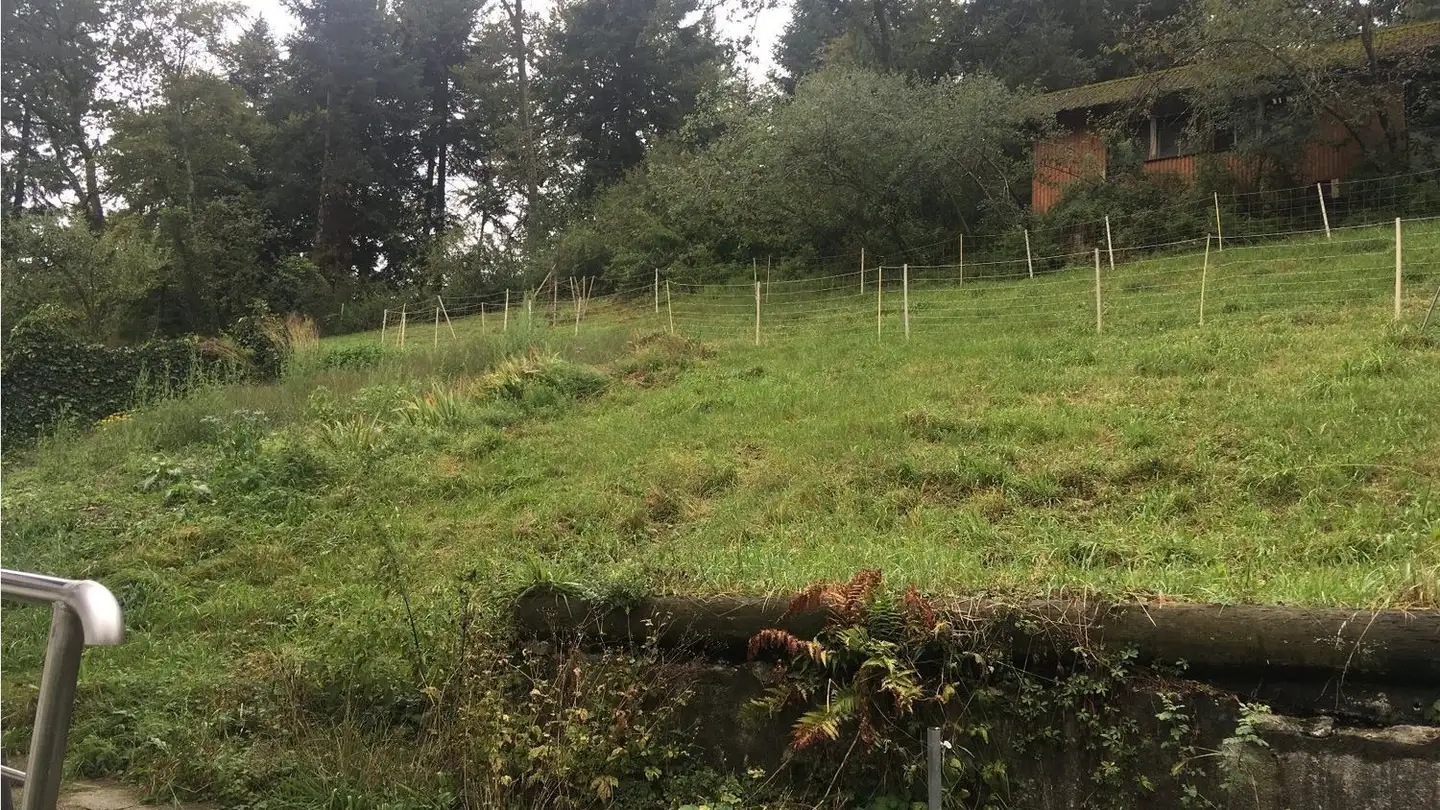Appartement à louer - Haslikehrweg 42, 3627 Heimberg - Photo 4