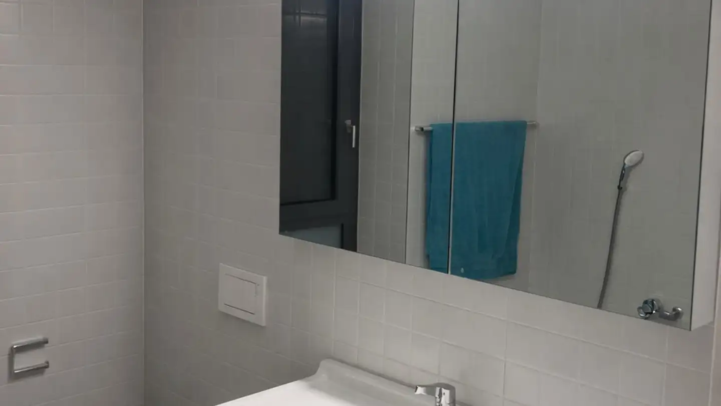 Apartment for rent - Badenerstrasse 19, 8953 Dietikon