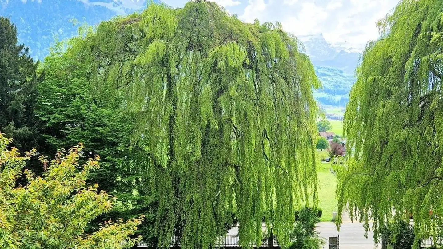 Semi-detached house for rent - Bahnhofstrasse 52, 6430 Schwyz