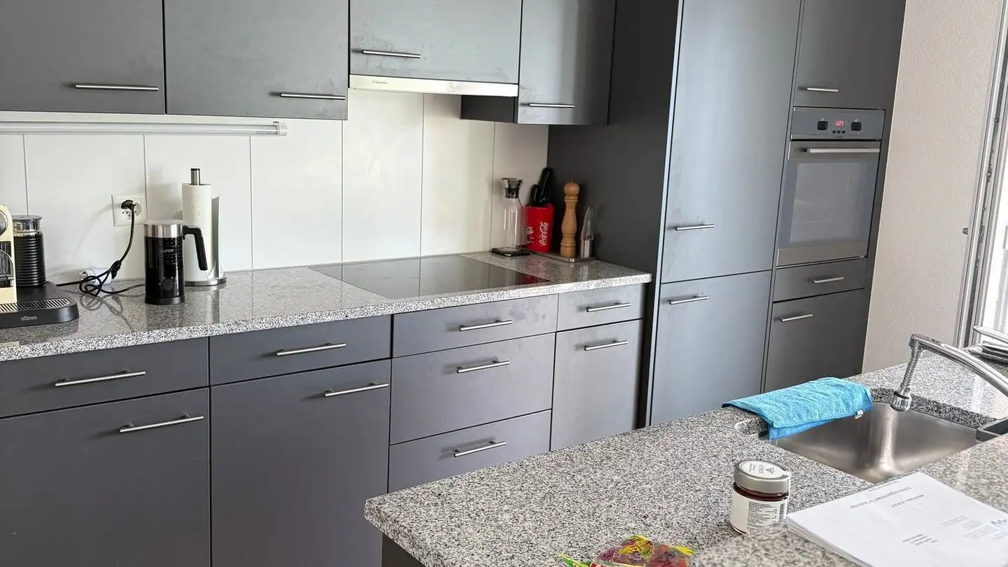 Appartamento in affitto - Euelstrasse 78, 8408 Winterthur - Foto 3