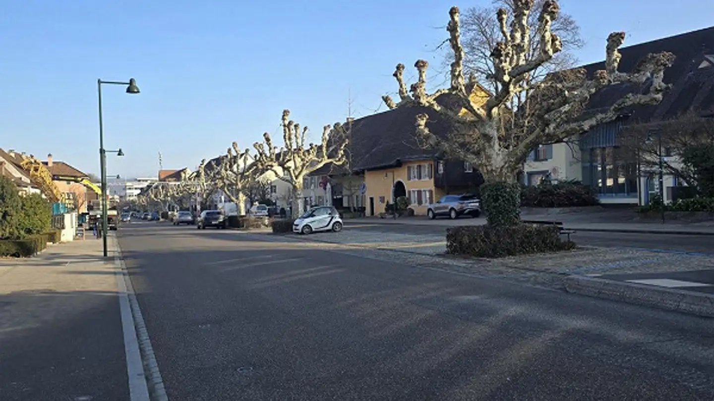 Single house for rent - Bündtenweg 9, 4132 Muttenz - Photo 2